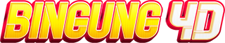 Bingung4D